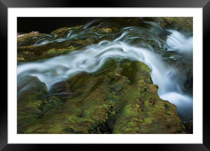 Satin Framed Mounted Print by Emil Vlajic