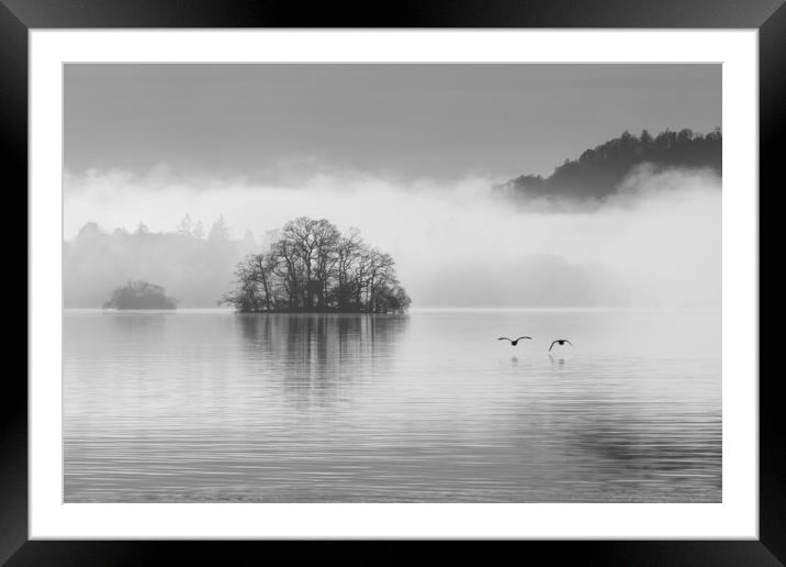 Two geese over Windermere Framed Mounted Print by Tony Higginson