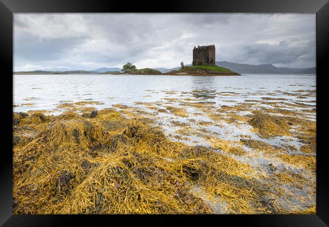 Castle Stalker Framed Print by Tony Higginson