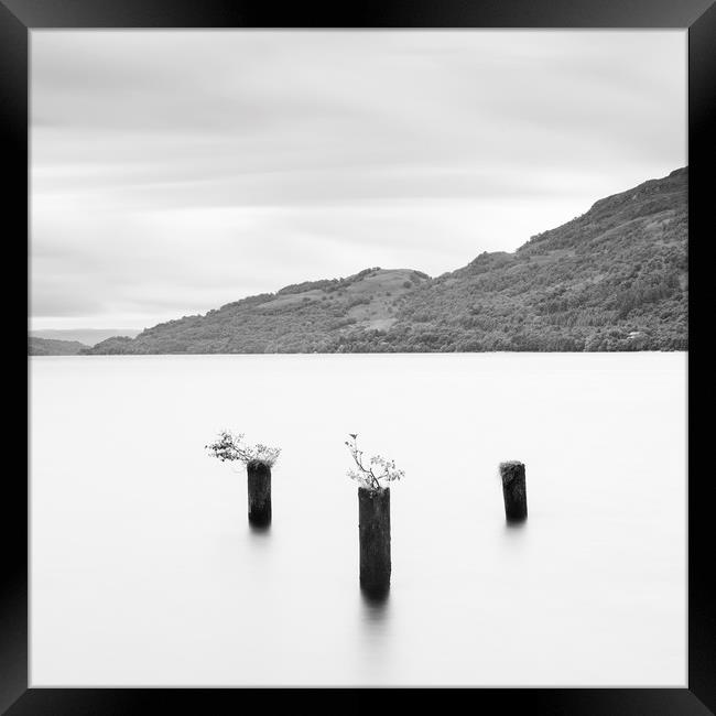 Loch Lomond jetty stumps Framed Print by Tony Higginson