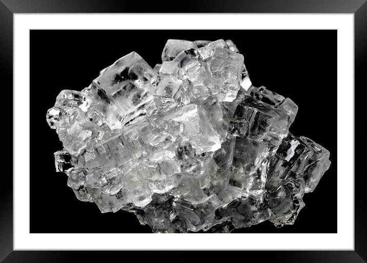Cubic salt crystal aggregate against black background Framed Mounted Print by Frank Heinz