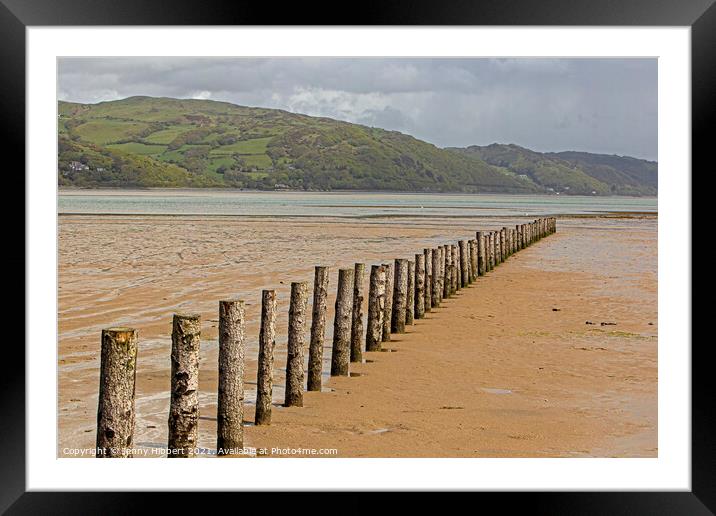 Breakwater posts on Ynyslas sands with Aberdovey in the distance Framed Mounted Print by Jenny Hibbert