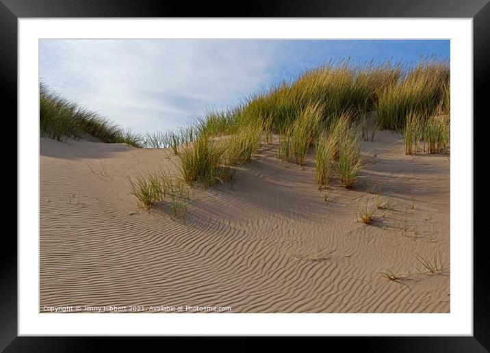 Marram grass on Ynyslas sand dunes Framed Mounted Print by Jenny Hibbert