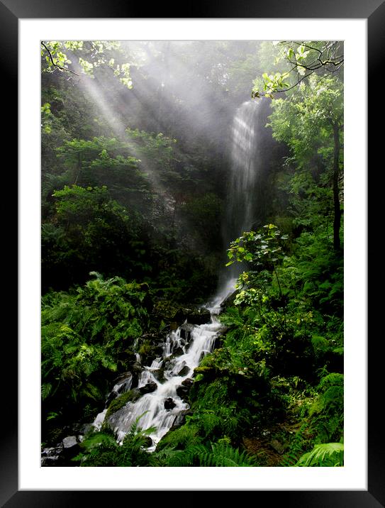 Second Waterfall Melincourt  Framed Mounted Print by Jenny Hibbert