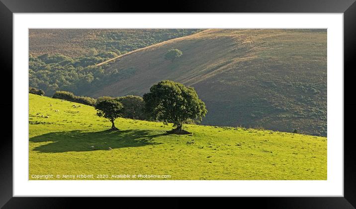 Trees in field Exmoor Somerset Framed Mounted Print by Jenny Hibbert