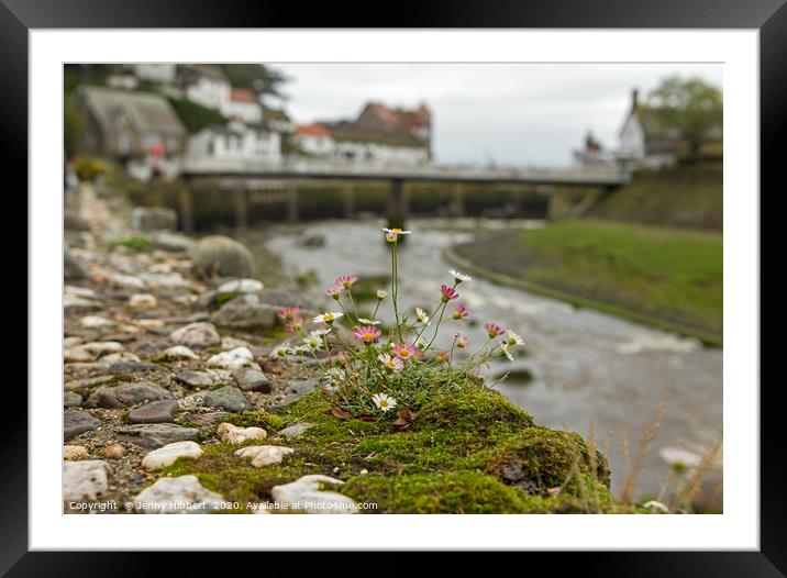 Flowers on the wall with Lynmouth harbour  Framed Mounted Print by Jenny Hibbert