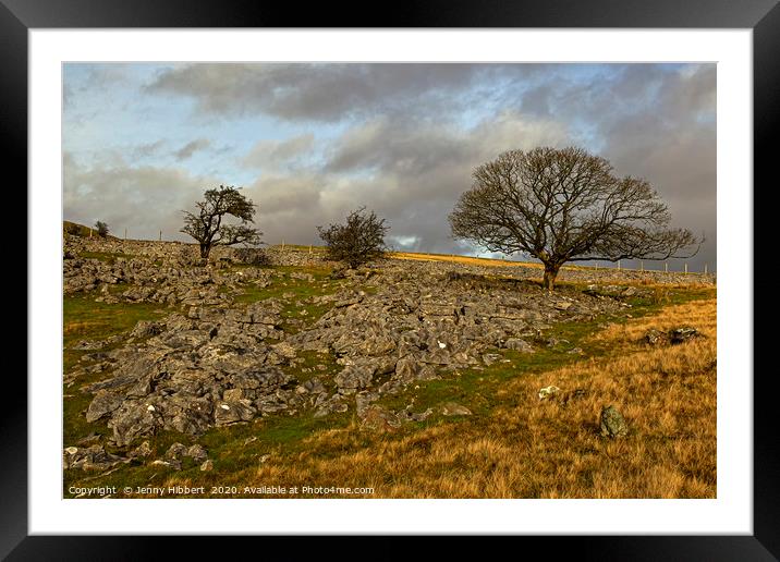 Trees growing in the limestone Framed Mounted Print by Jenny Hibbert