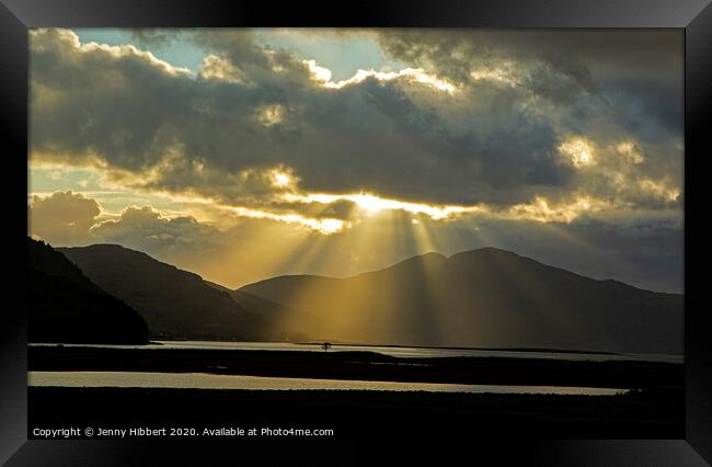 Little tree caught in the sun rays Framed Print by Jenny Hibbert