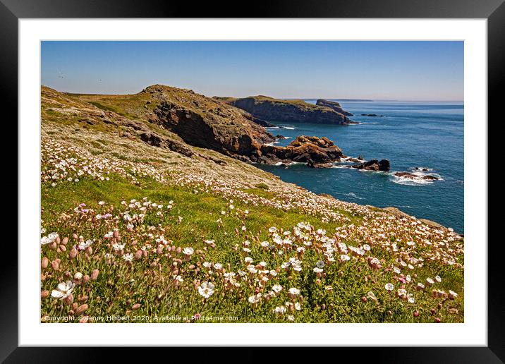 Skomer Island Pembrokeshire in spring Framed Mounted Print by Jenny Hibbert