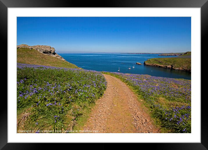Skomer Island in springtime with the Bluebells out Framed Mounted Print by Jenny Hibbert