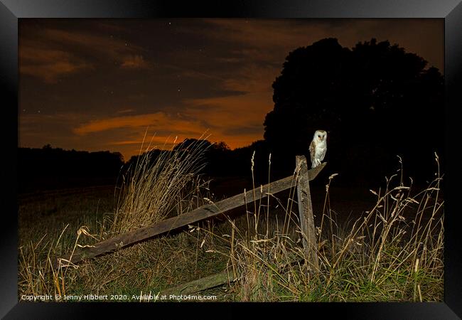 Barn Owl perched on old fence Framed Print by Jenny Hibbert