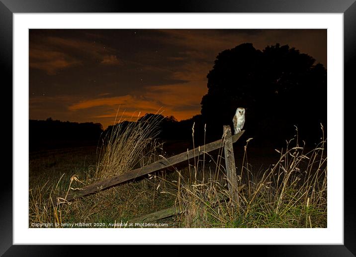 Barn Owl perched on old fence Framed Mounted Print by Jenny Hibbert