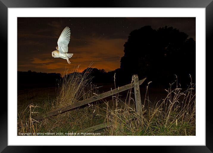 Barn Owl takes flight out hunting Framed Mounted Print by Jenny Hibbert