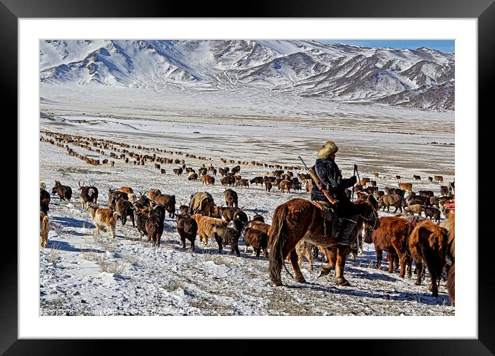 Kazakh nomad migrating with the livestock Mongolia Framed Mounted Print by Jenny Hibbert