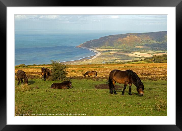 Exmoor ponies looking towards Porlock bay, Somerset Framed Mounted Print by Jenny Hibbert