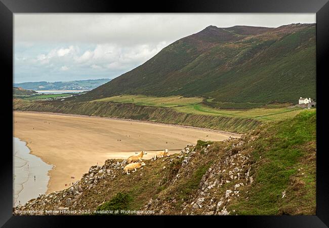 Looking across Rhossili bay on the Gower Peninsular Framed Print by Jenny Hibbert