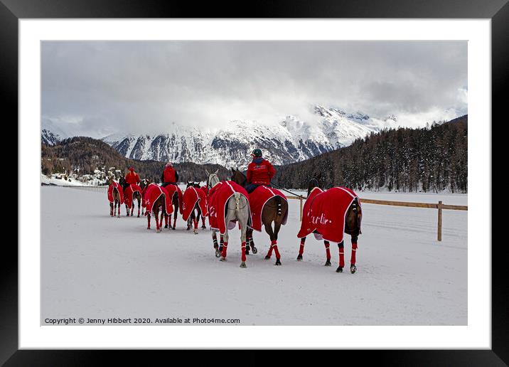 Snow polo team of horses in St Moritz Framed Mounted Print by Jenny Hibbert