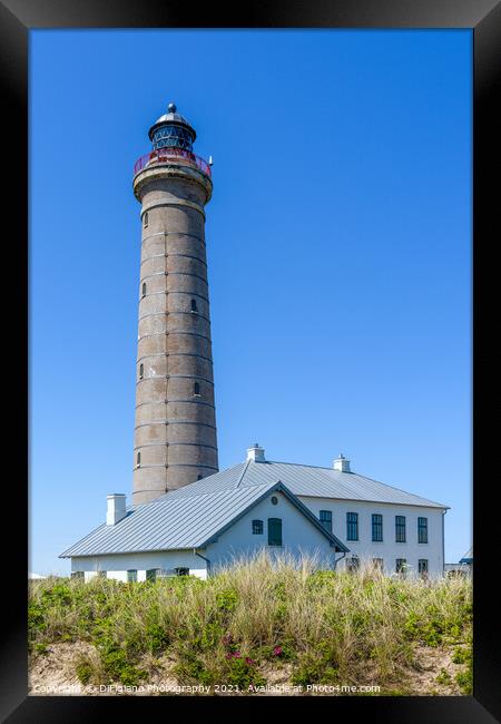 Skagen Lighthouse Framed Print by DiFigiano Photography