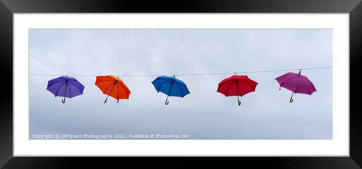 Suspended Animation Framed Mounted Print by DiFigiano Photography