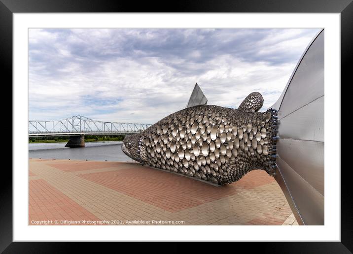 Tornionjoki Salmon Framed Mounted Print by DiFigiano Photography