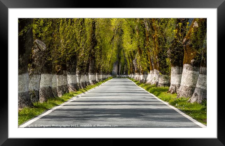 Country Road Framed Mounted Print by DiFigiano Photography