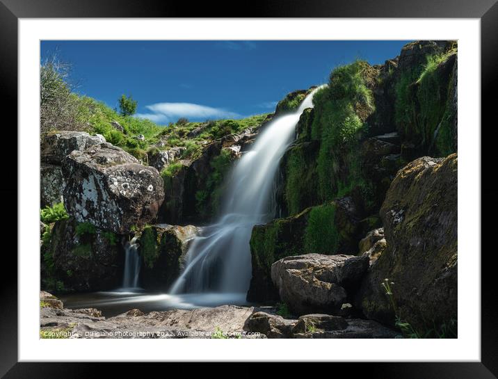 Loup of Fintry Upper Falls Framed Mounted Print by DiFigiano Photography