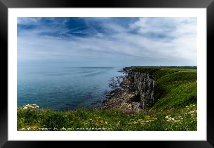 Bempton Cliffs Framed Mounted Print by DiFigiano Photography
