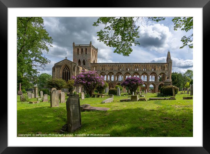 Jedburgh Abbey Framed Mounted Print by DiFigiano Photography