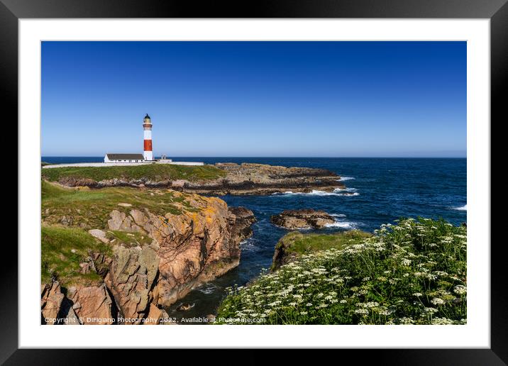 Buchan Ness Lighthouse Framed Mounted Print by DiFigiano Photography