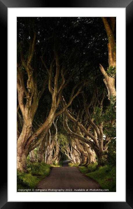 The Dark Hedges Framed Mounted Print by DiFigiano Photography