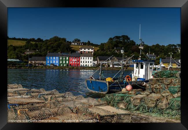 Bantry Harbour Framed Print by DiFigiano Photography