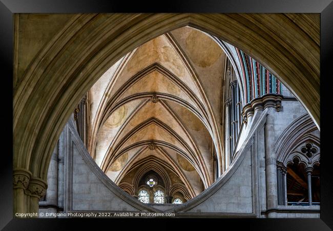 Salisbury Arches Framed Print by DiFigiano Photography