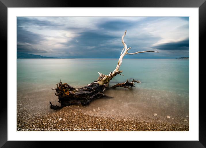 Sarande Driftwood Framed Mounted Print by DiFigiano Photography