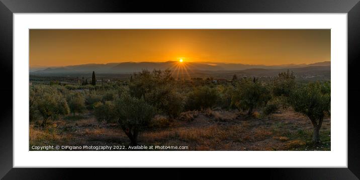 Mykines Olive Grove Sunset Framed Mounted Print by DiFigiano Photography