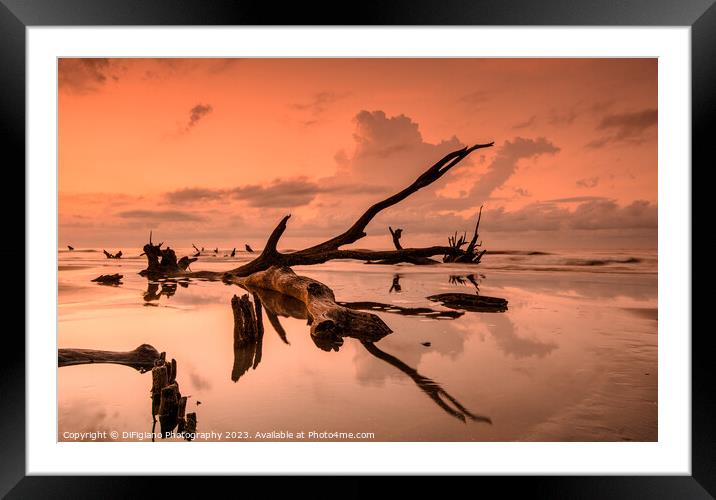 Boneyard Morning Framed Mounted Print by DiFigiano Photography