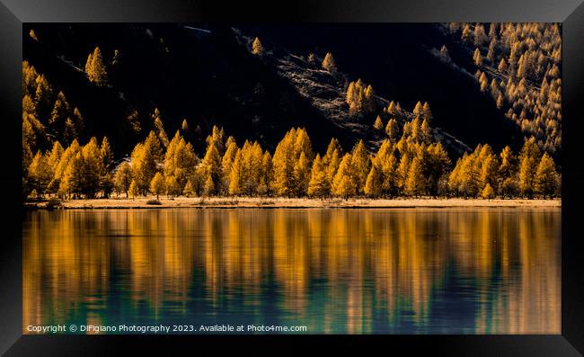 Engadine Autumn Framed Print by DiFigiano Photography