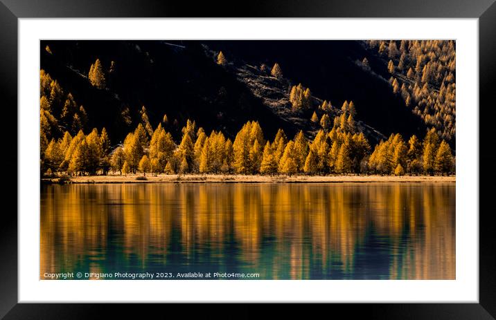 Engadine Autumn Framed Mounted Print by DiFigiano Photography