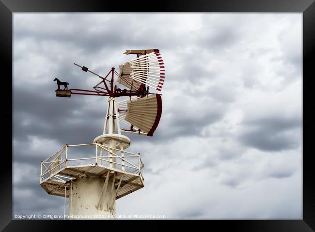 Catch The Wind Framed Print by DiFigiano Photography