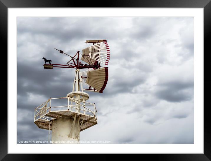 Catch The Wind Framed Mounted Print by DiFigiano Photography