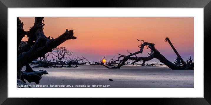 Boneyard Beach Sunrise Panorama Framed Mounted Print by DiFigiano Photography