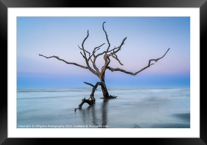 The Boneyard 23/2 Framed Mounted Print by DiFigiano Photography