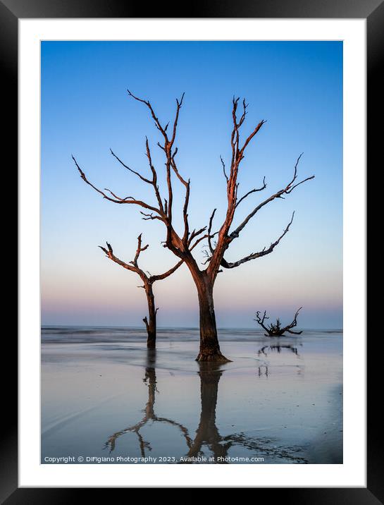The Boneyard 23/8 Framed Mounted Print by DiFigiano Photography