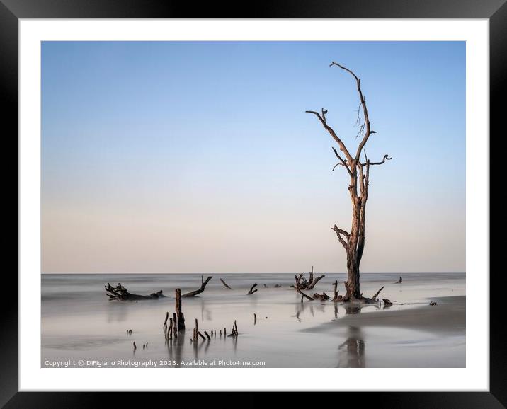 The Boneyard 23/14 Framed Mounted Print by DiFigiano Photography