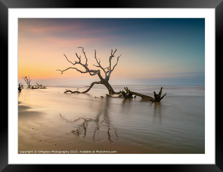 The Boneyard 23/10 Framed Mounted Print by DiFigiano Photography