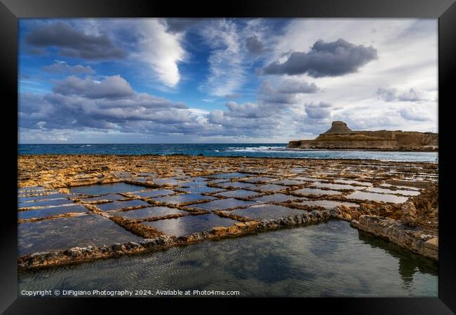Xwejni Bay Salt Pamns Framed Print by DiFigiano Photography