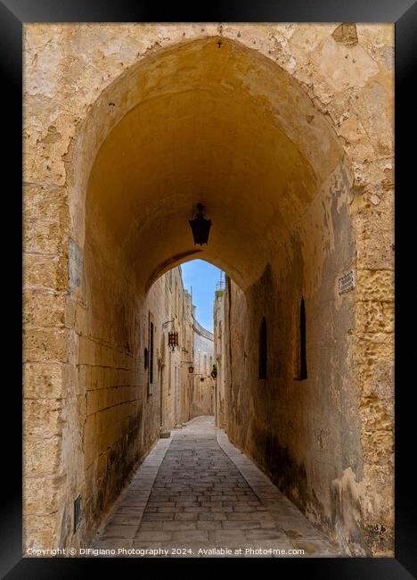 Alley Arch Framed Print by DiFigiano Photography