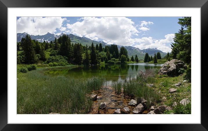 Alp da Flix Framed Mounted Print by DiFigiano Photography
