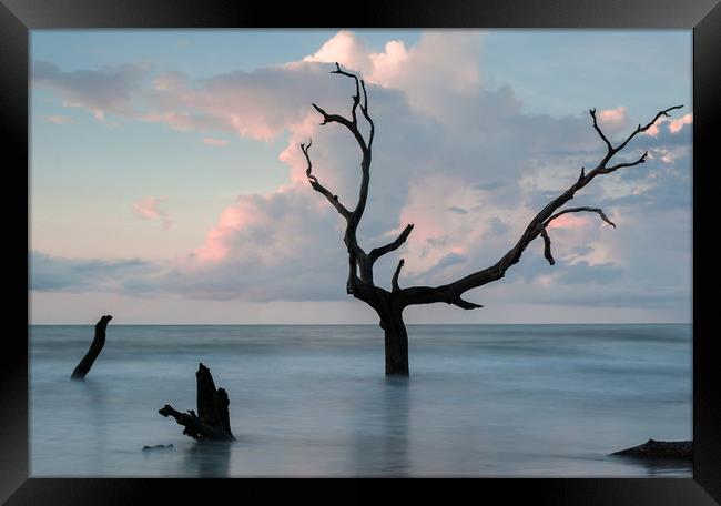 Bull Island Dawn Framed Print by DiFigiano Photography