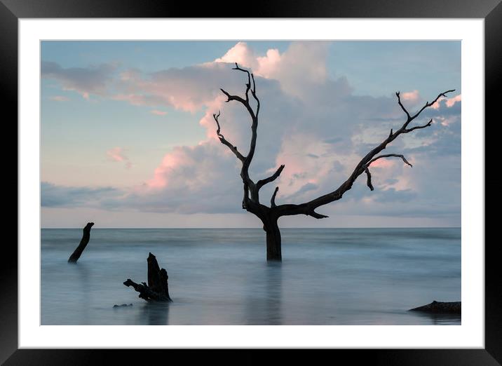 Bull Island Dawn Framed Mounted Print by DiFigiano Photography