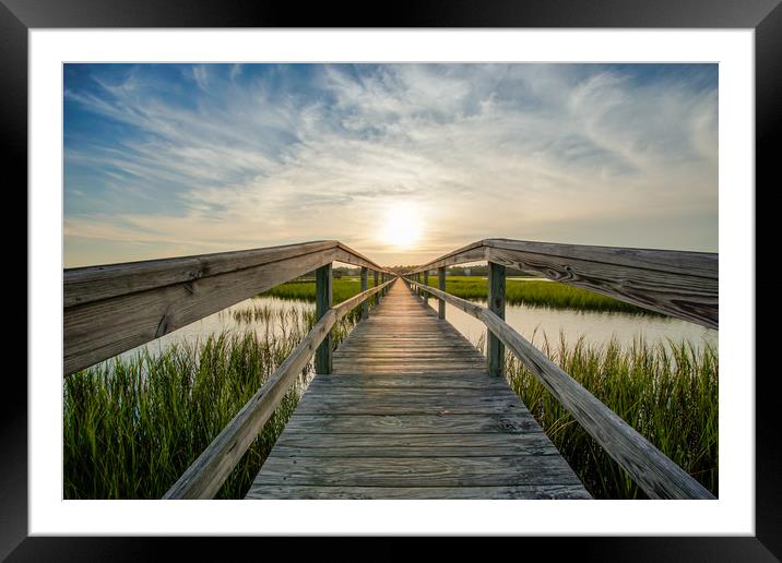 Summertime Framed Mounted Print by DiFigiano Photography